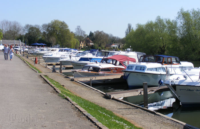 Benson Marina