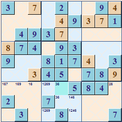 Sample Sudoku Theme Blue Pink